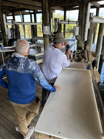 Venice Report Photo 1