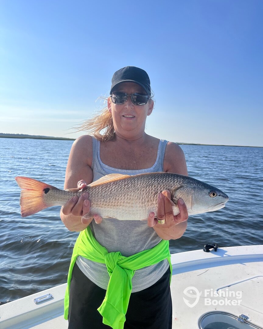 Edisto Beach Report Photo 0