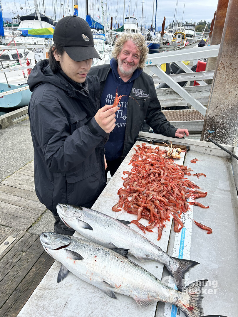 Comox Report Photo 0