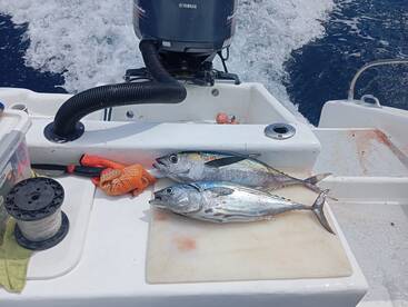 Herradura Report Photo 2