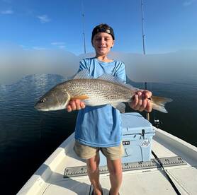 Belleair Bluffs Report Photo 1