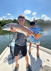 Belleair Bluffs Report Photo 2