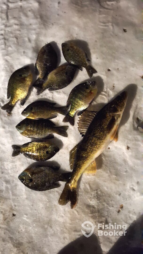 Fox River Report Photo 0