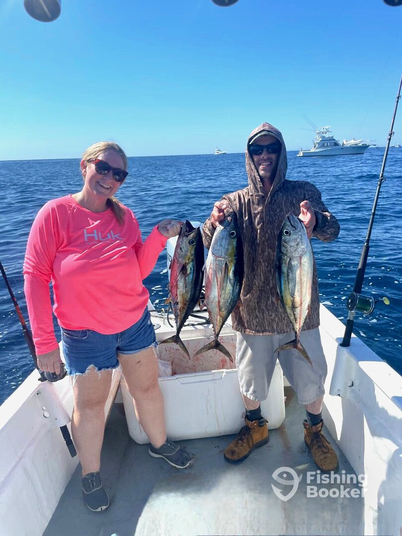 San Jose del Cabo Report Photo 0