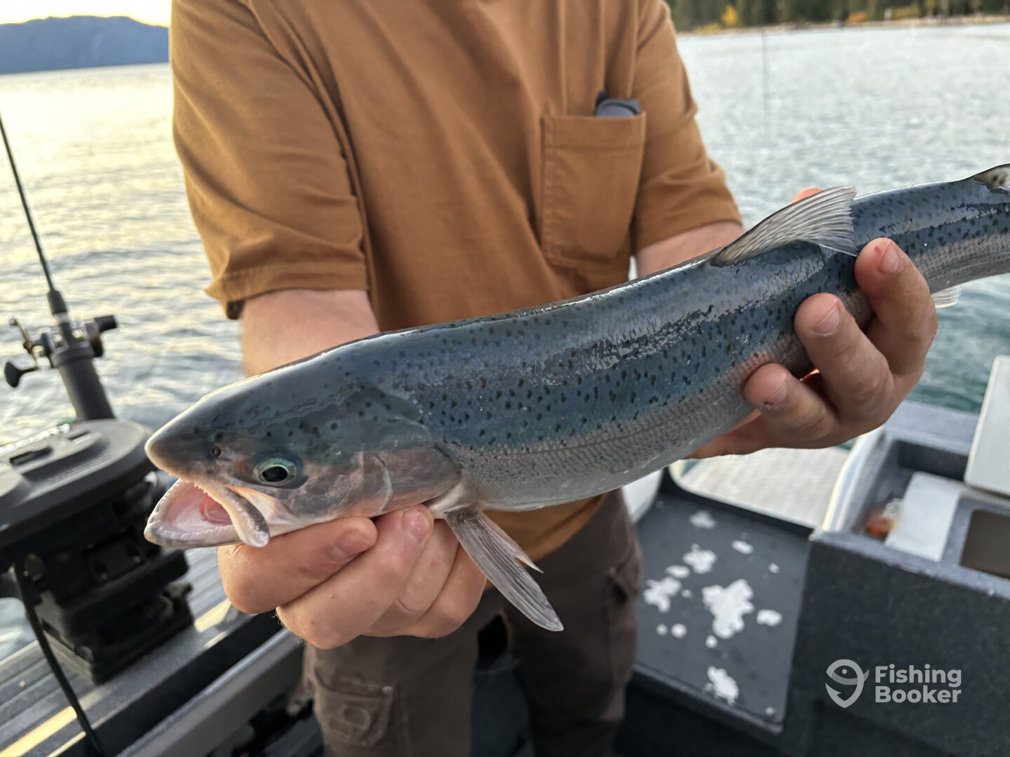 South Lake Tahoe Report Photo 0