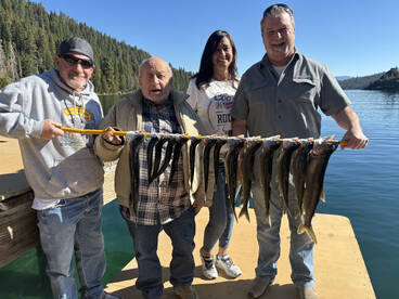 South Lake Tahoe Report Photo 1