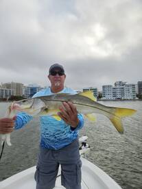 Sarasota Report Photo 1