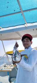 Puerto Peñasco Report Photo 1