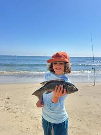 Sheephead are in!
