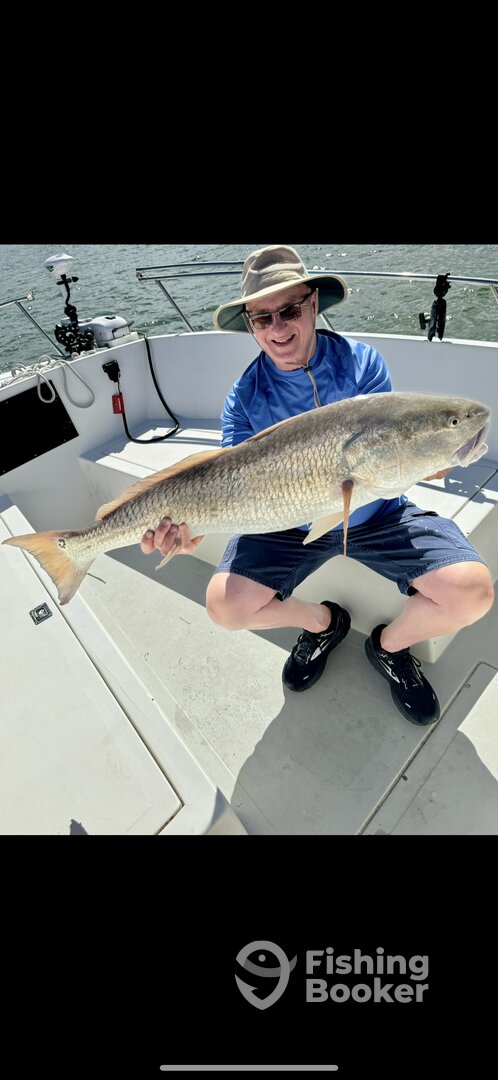 Port Orange Report Photo 0
