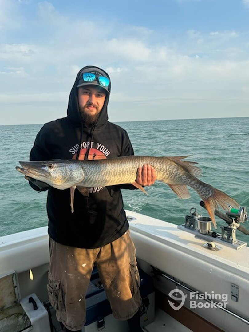 St. Clair Shores Report Photo 0