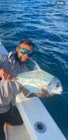 Fajardo Report Photo 1