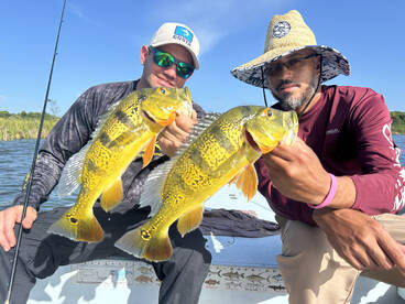 Toa Alta Report Photo 1