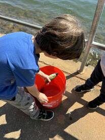 Atlanta Report Photo 1