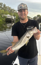 Clearwater Report Photo 1