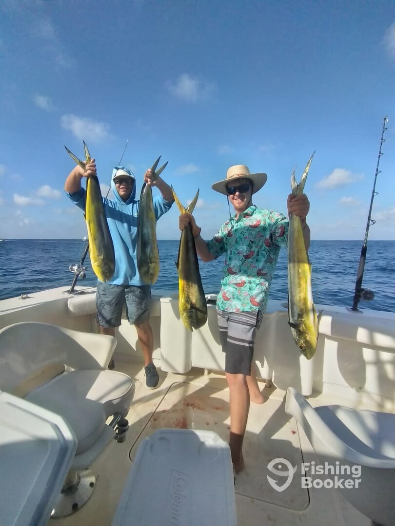Cabo San Lucas Report Photo 0