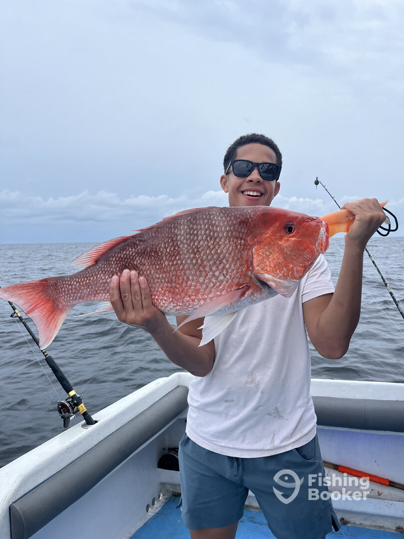 Panama City Report Photo 0