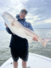 Bull reds are here 