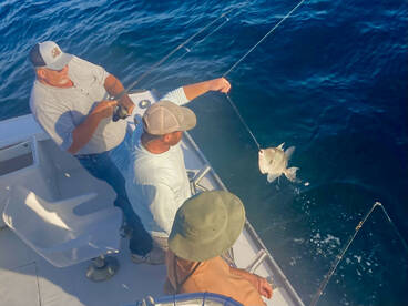 Oct fishing can get hot! Open dates