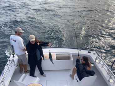 Nags Head Report Photo 2