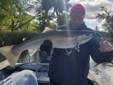 Fall steelhead fishing on Big Manistee r