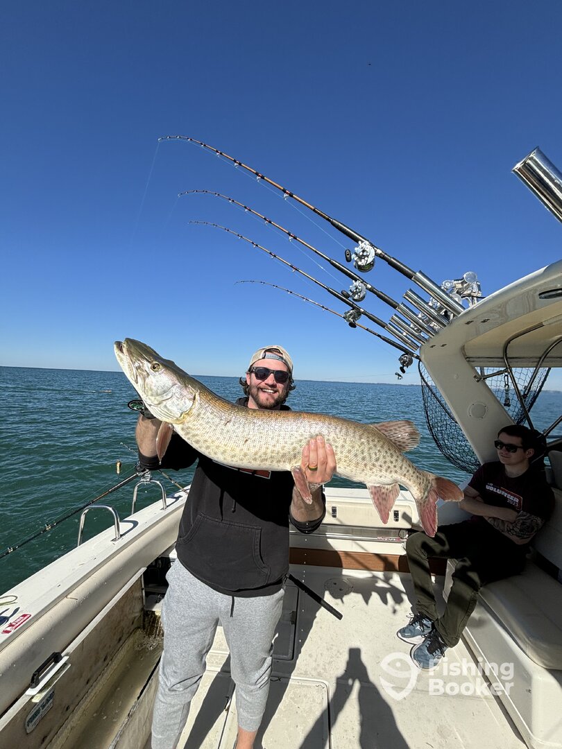 St. Clair Shores Report Photo 0
