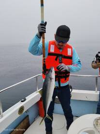 Great catches on Local fishing trip 