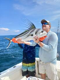 Roosterfish!