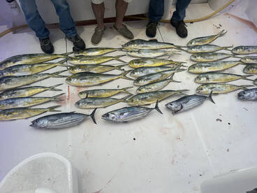 Point Pleasant Report Photo 1