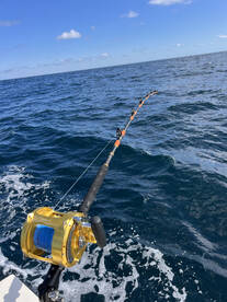 Montauk Report Photo 2