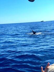 San Jose del Cabo Report Photo 1