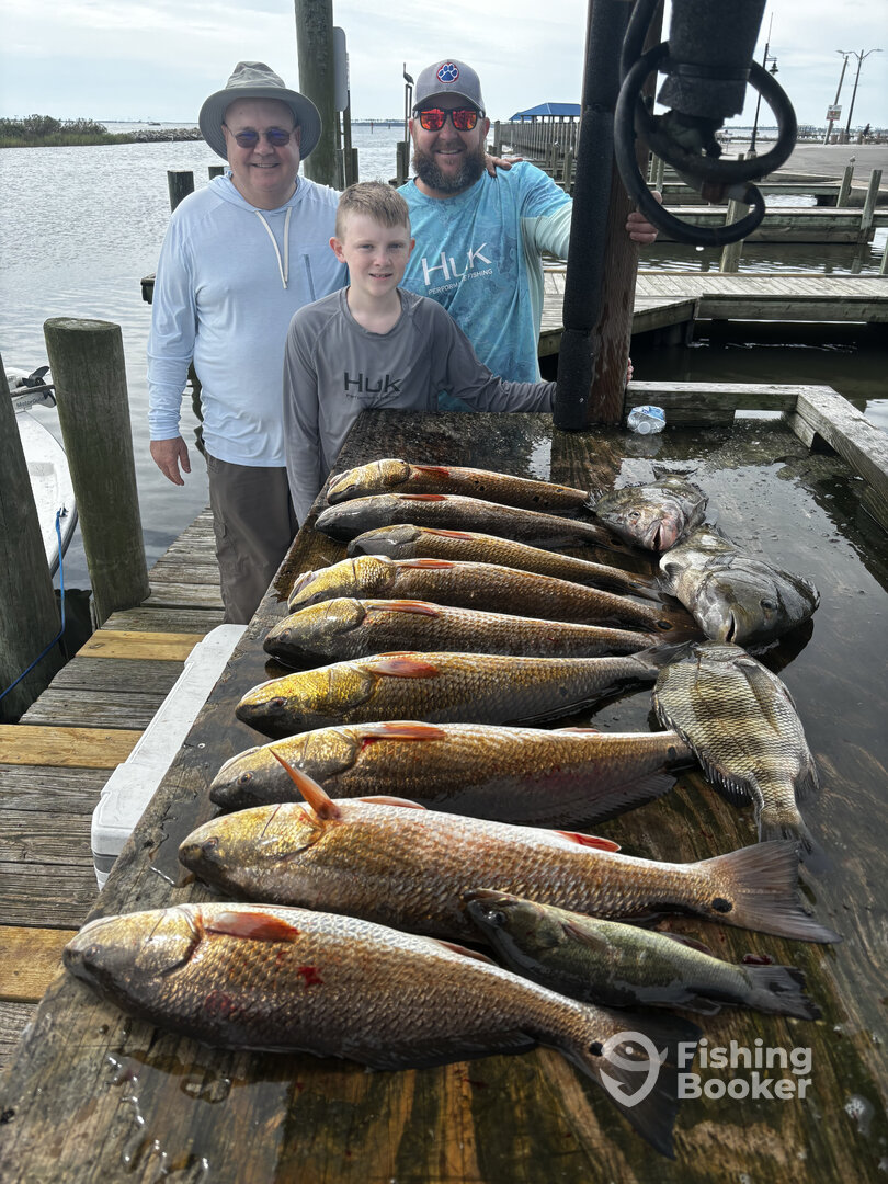 Ocean Springs Report Photo 0