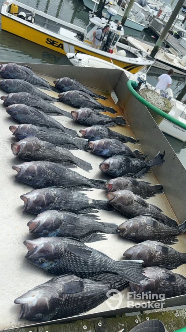 Cape May Report Photo 0