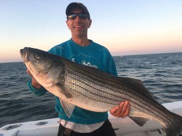 Full Moon Bass on the Four C's