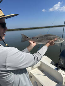 Hilton Head Island Report Photo 2