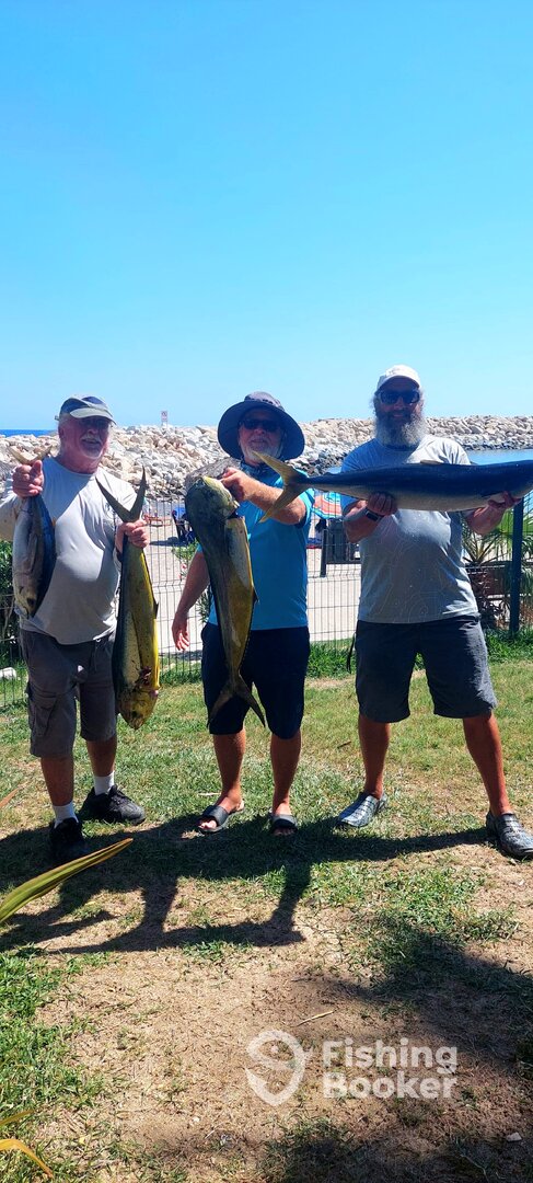 San Jose del Cabo Report Photo 0