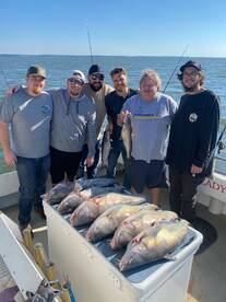 Fall = Trophy Blue Catfish 