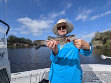 Jacksonville Report Photo 2