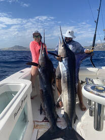 Trophy Fish Alert: Marlin and Tuna are B