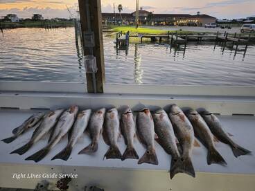 Port O'Connor Report Photo 2