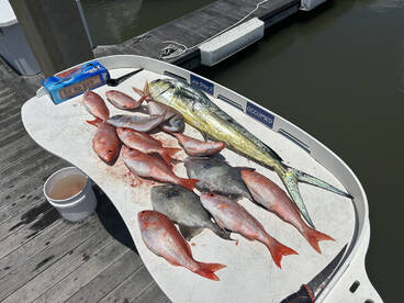 Charleston offshore fishing 