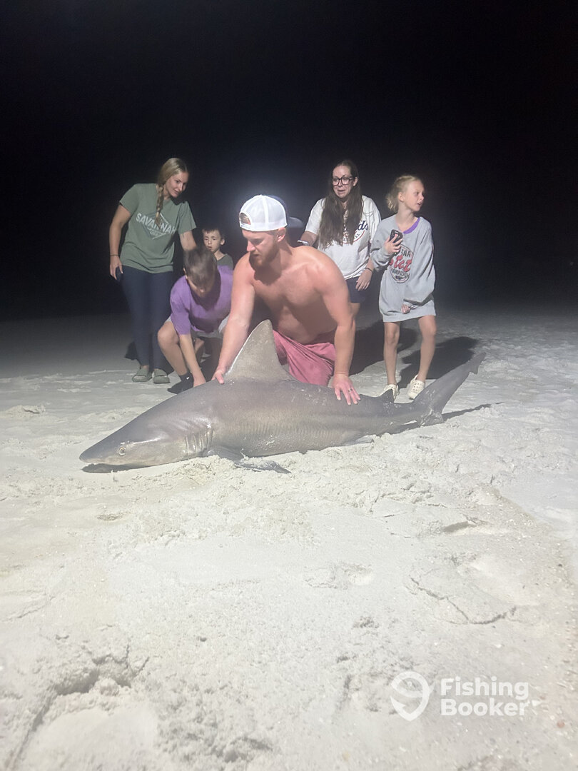 Destin Report Photo 0