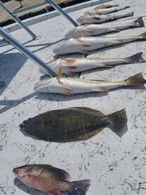 Port Isabel Report Photo 1
