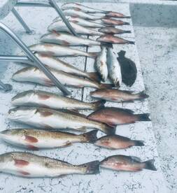 Port Isabel Report Photo 2