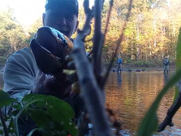 Chincoteague Report Photo 1
