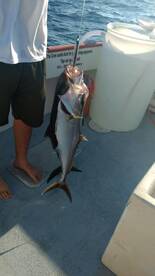 Panama City Beach Report Photo 2