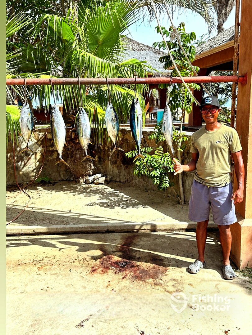 San Jose del Cabo Report Photo 0