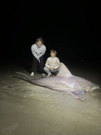 Folly Beach Report Photo 1