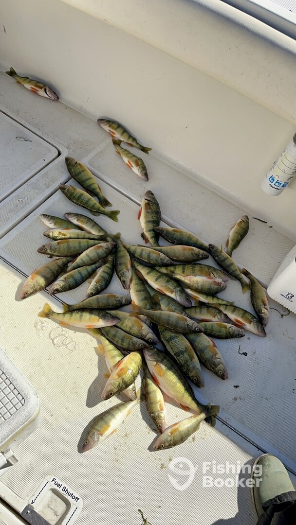 St. Clair Shores Report Photo 0