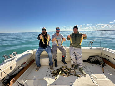 St. Clair Shores Report Photo 1